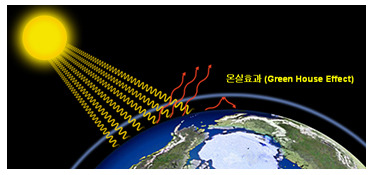 금성농축산 이미지