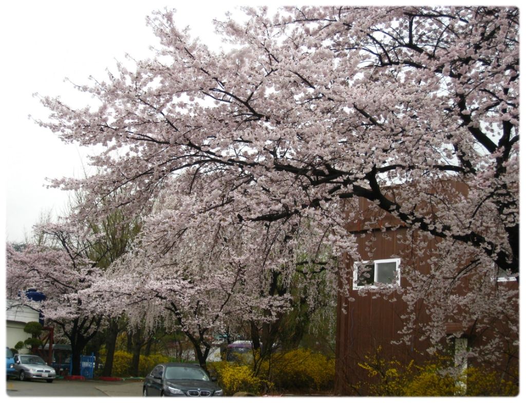 삼풍환경 이미지