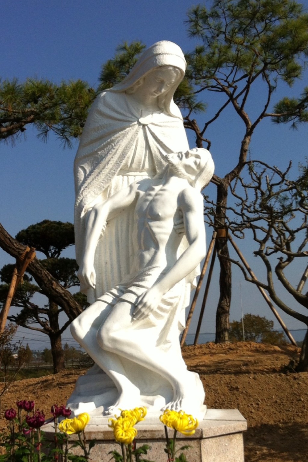 백년전젓갈 이미지