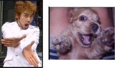 음 이미지