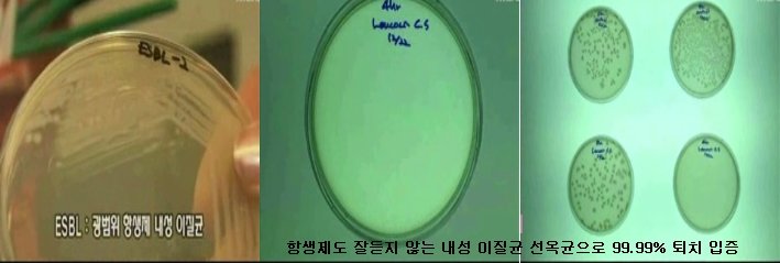 선옥 이미지