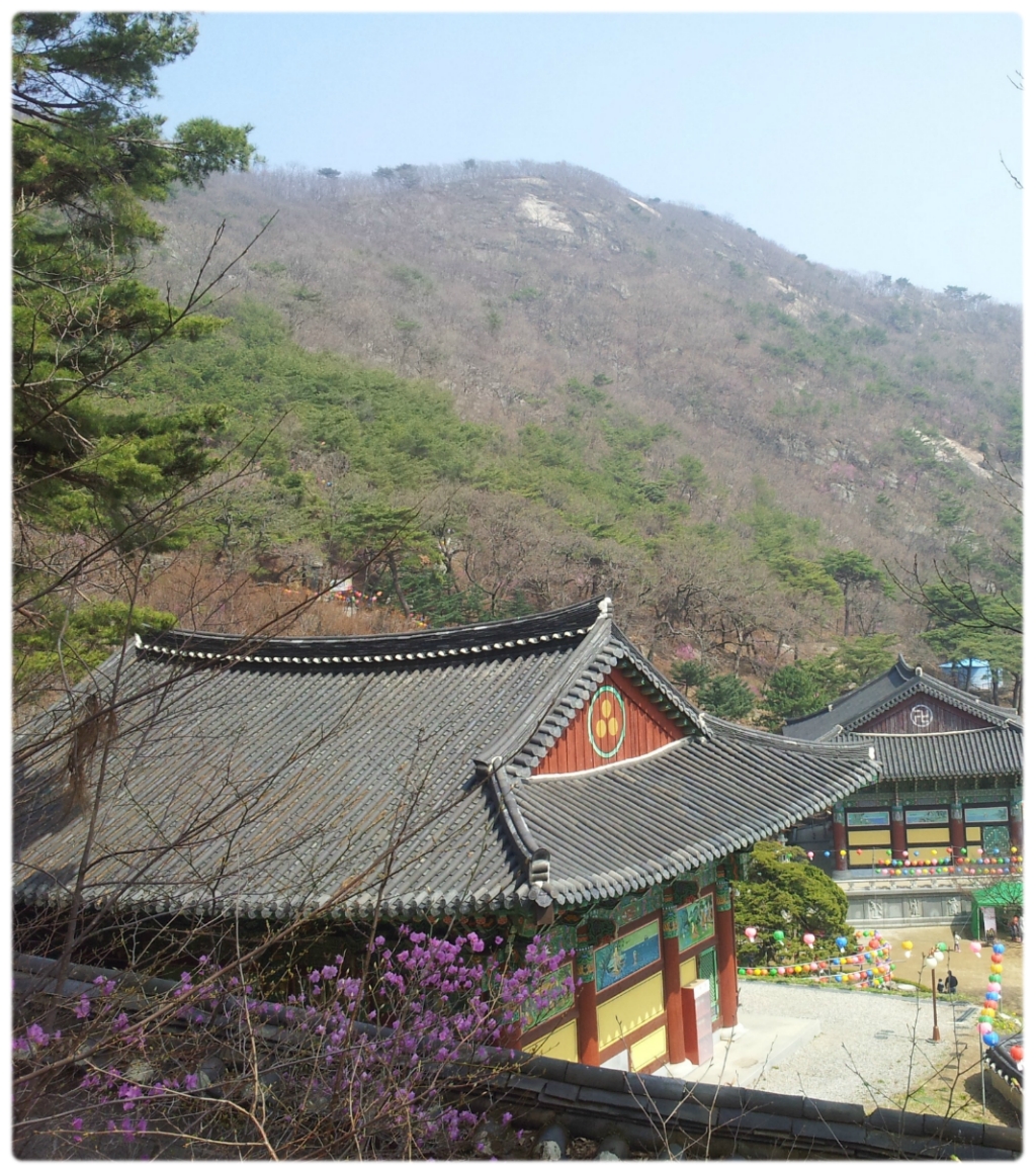 보문사 이미지