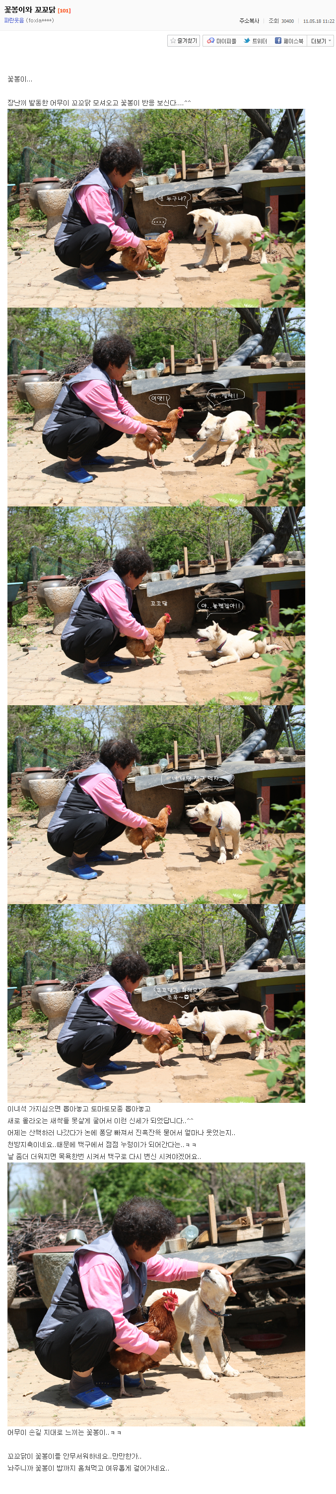 사랑스러운 시골강아지 꽃봉이의 하루.jpg | 인스티즈
