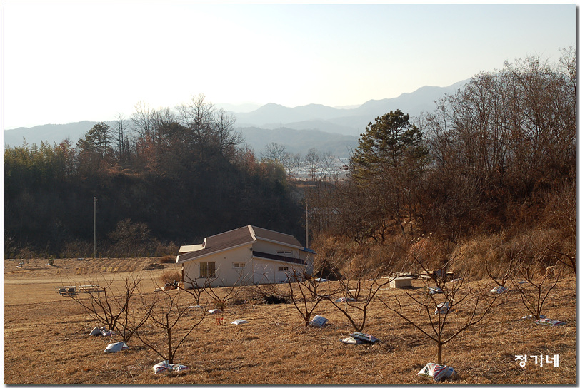동산포장 이미지