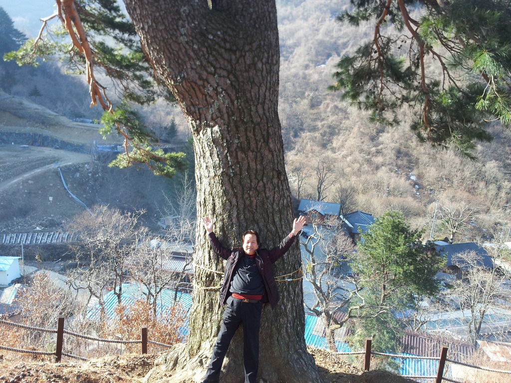 고향어탕국수 이미지