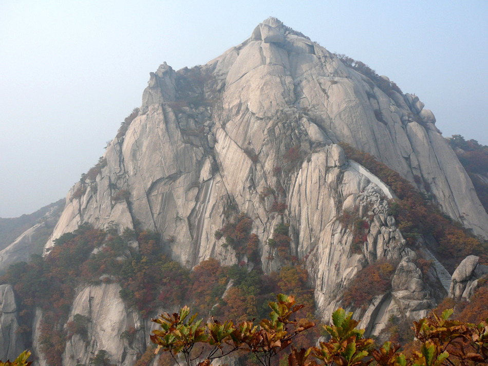별량2 이미지