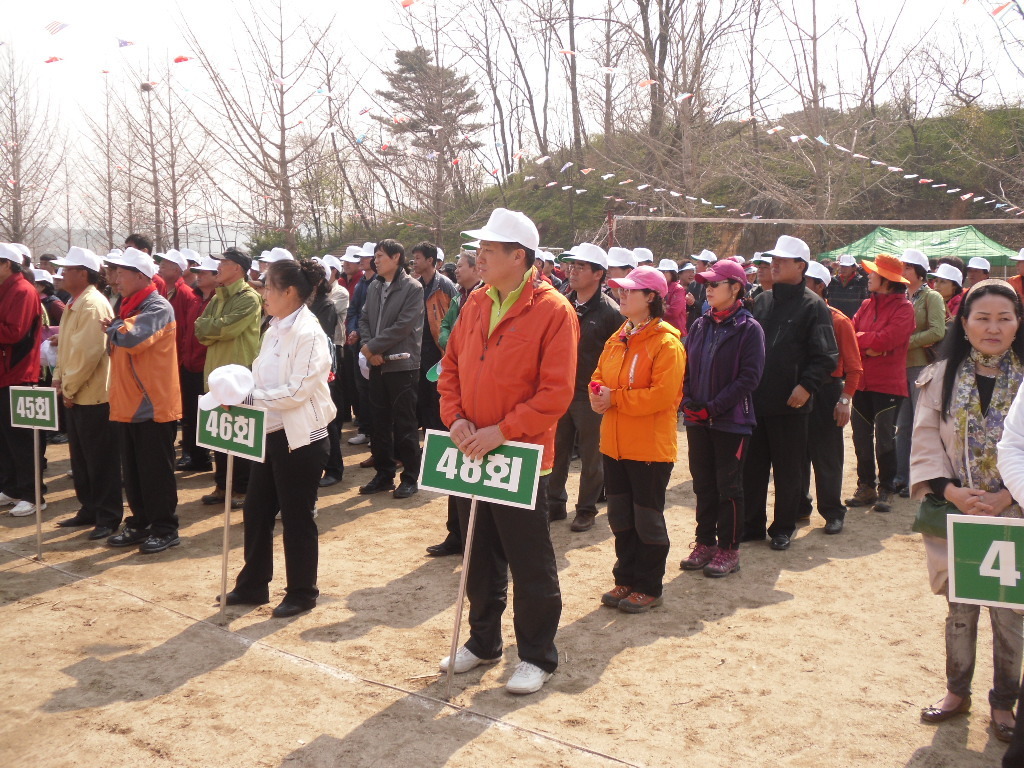 홍동초등학교 이미지