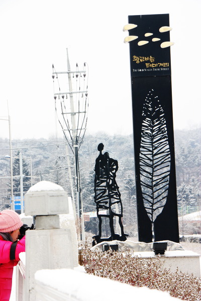 공지천닭갈비 이미지