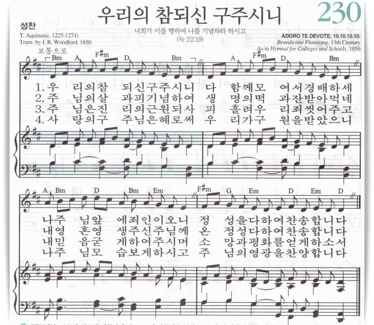 구주 이미지