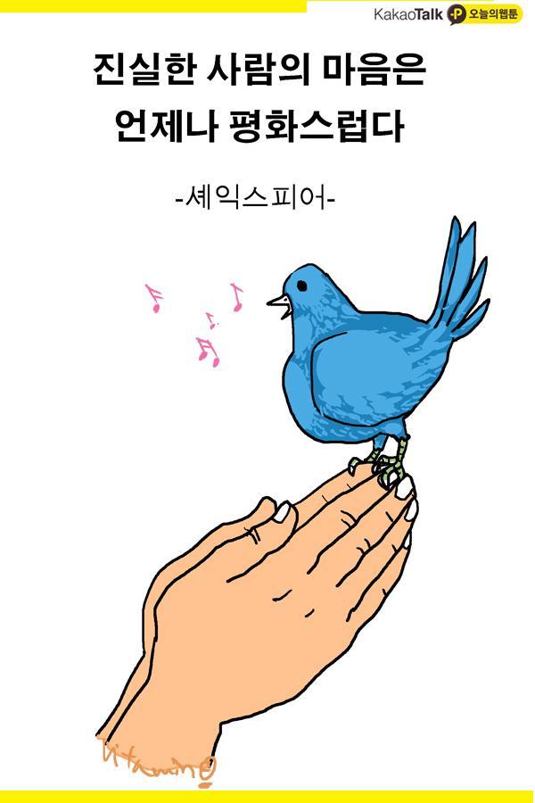 평화 이미지