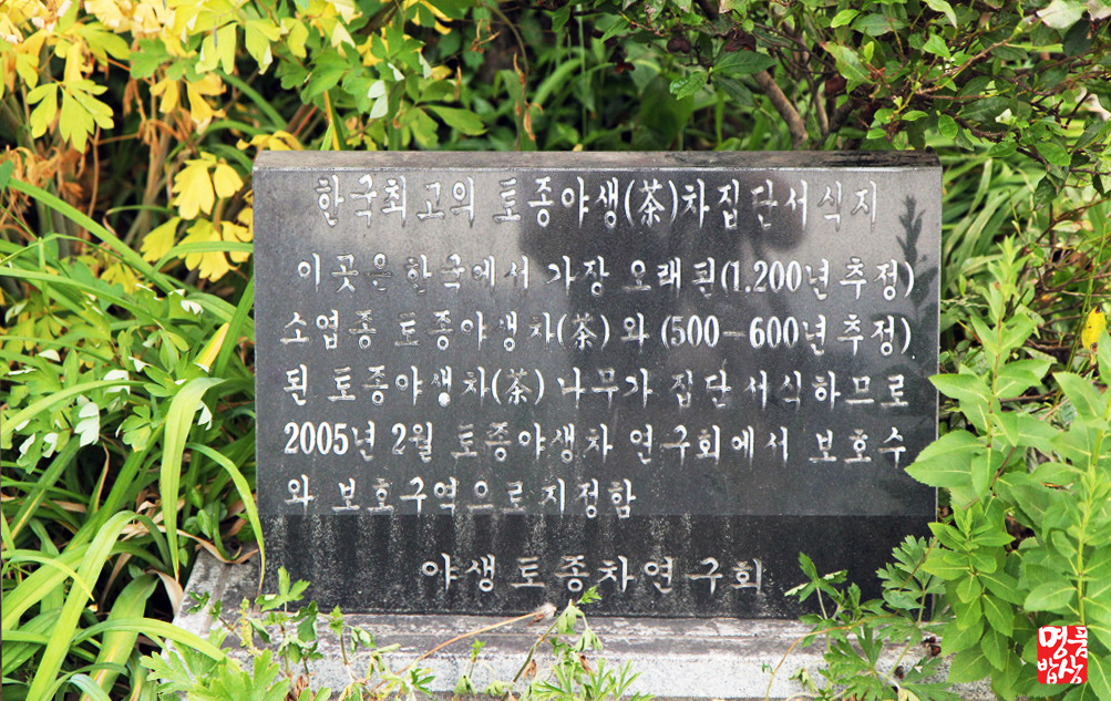 시원한냉면식품 이미지