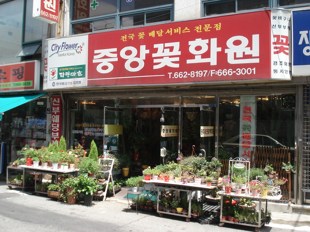 중앙꽃화원 이미지