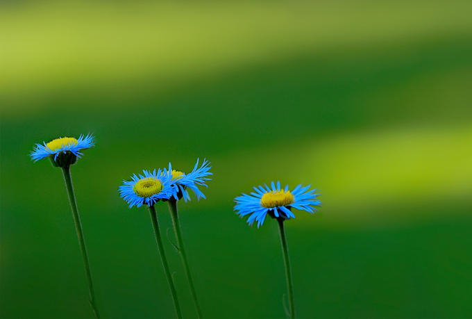 131C4E0B49585EB7775277