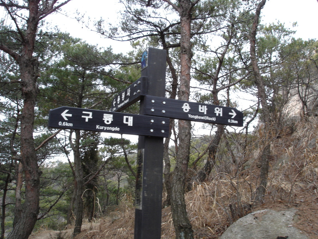 용봉산자연휴양림 이미지