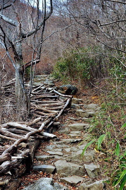지리산내음 이미지