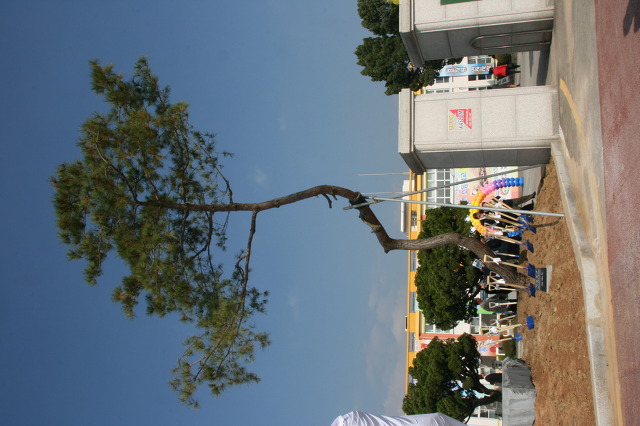 면천초등학교 이미지