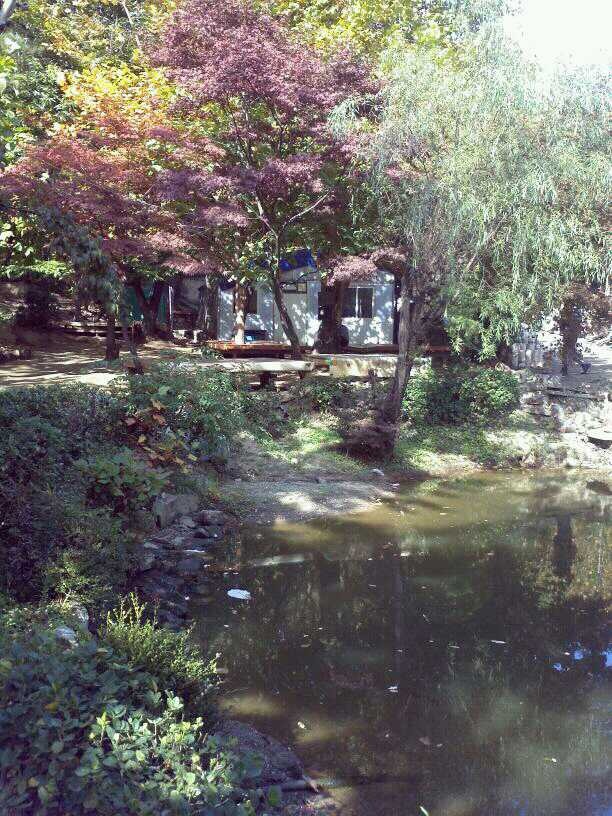 역곡오리집 이미지