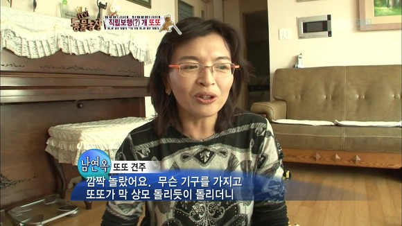 [동물농장] 지팡이 짚고 걷는 심봉사 개 또또라오 | 인스티즈