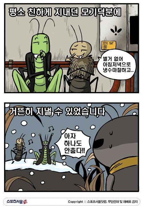 개미와배짱이 이미지