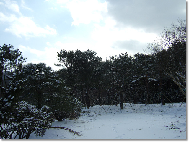 구룡산 정상 이미지