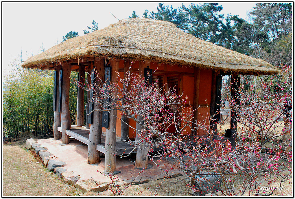 6월8일산행지 전남무안군삼향면왕산리 초의선사 유적지와 봉수산 미리가보자