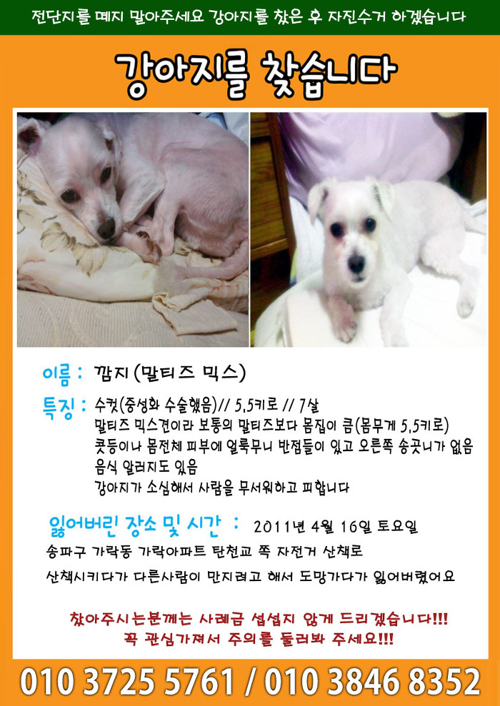 수컷 이미지
