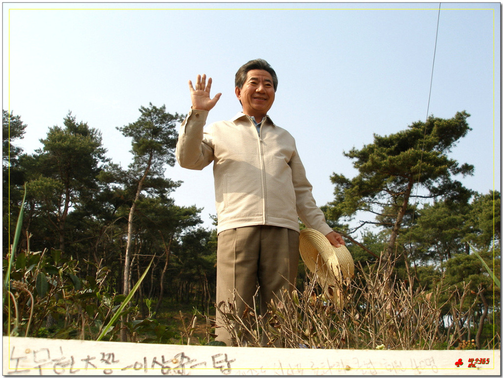 상록수 이미지