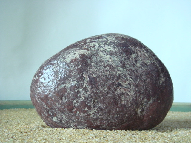 석향 이미지