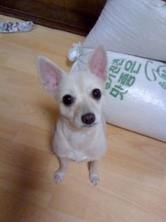 덩어리 이미지