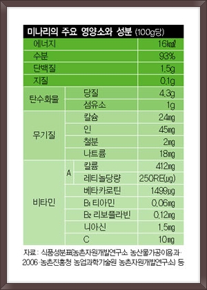 미나리가스 이미지
