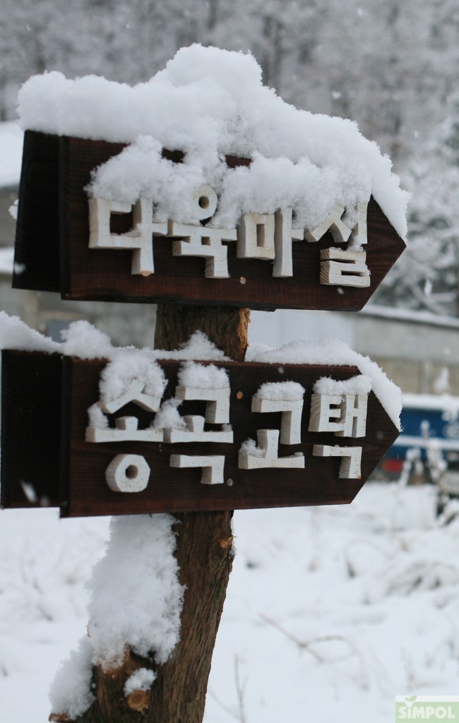 마실다육 이미지
