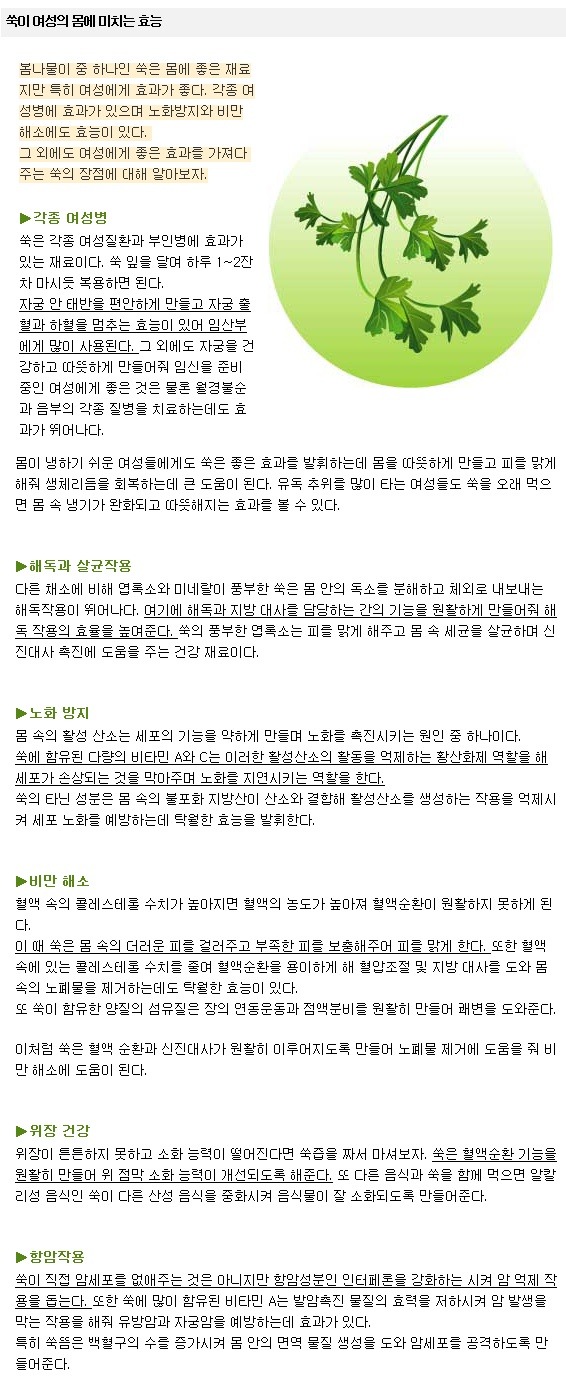 우리몸애 이미지