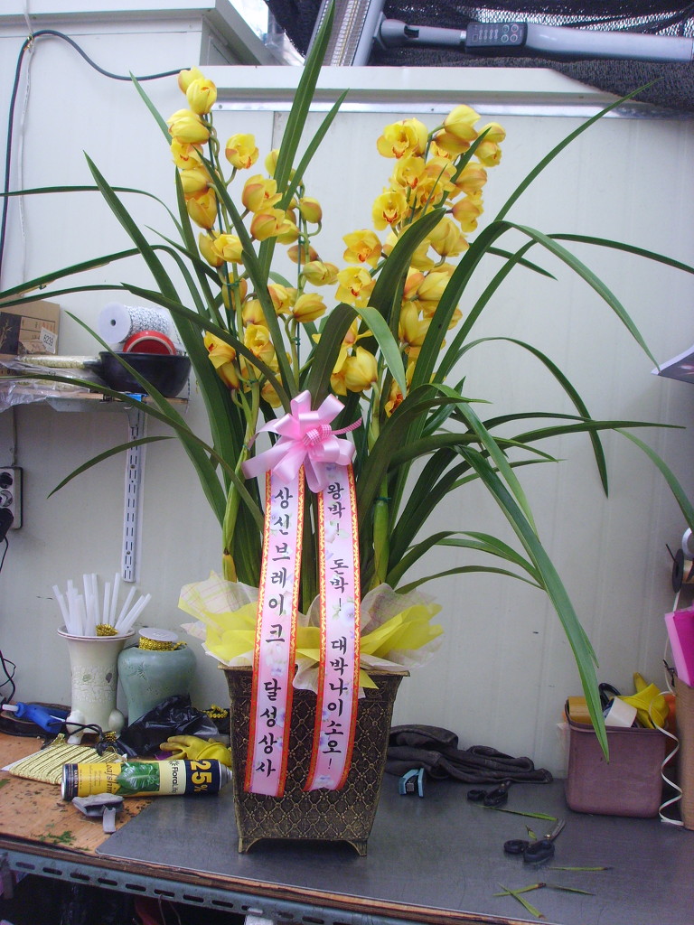 상신상사 이미지