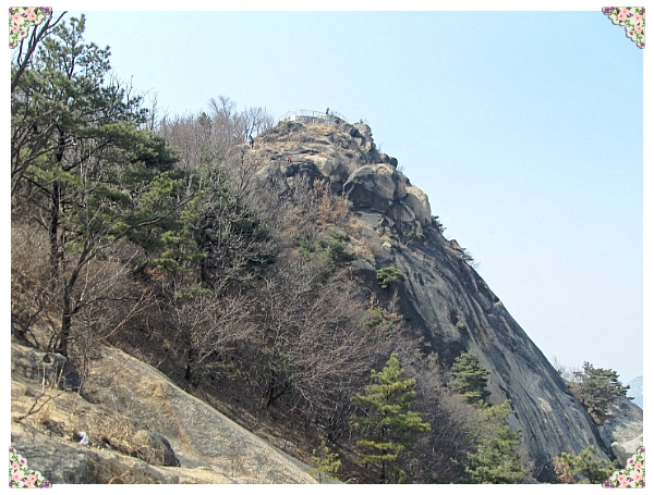 숲속의궁전 이미지