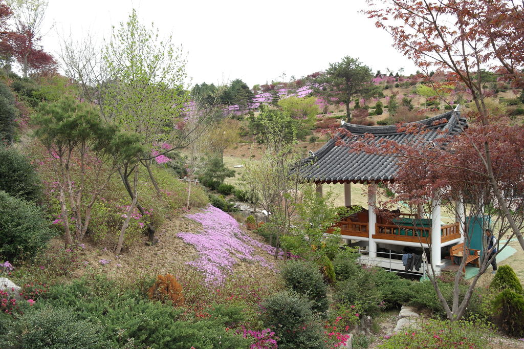 동산잔디 이미지