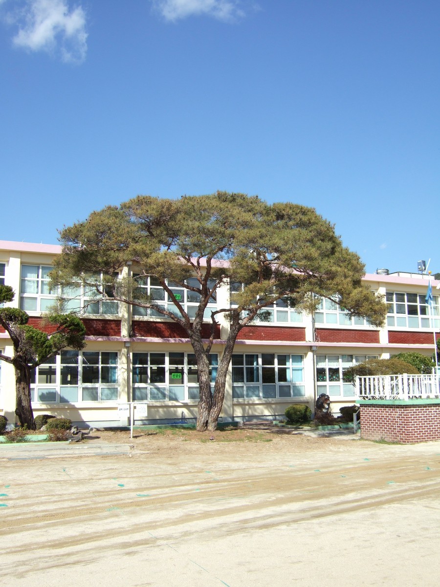 제일기업사 이미지