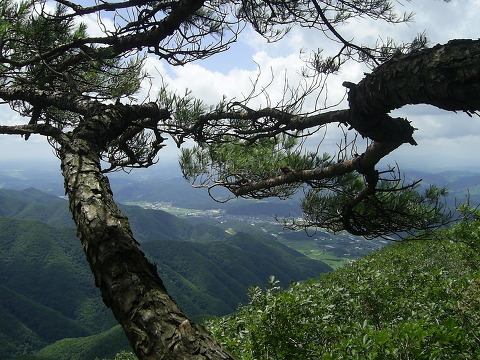 덕산주유소 이미지
