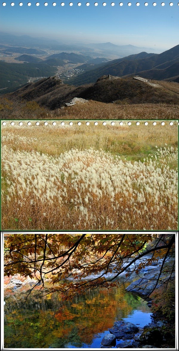 산머루산장，산머루가든 이미지