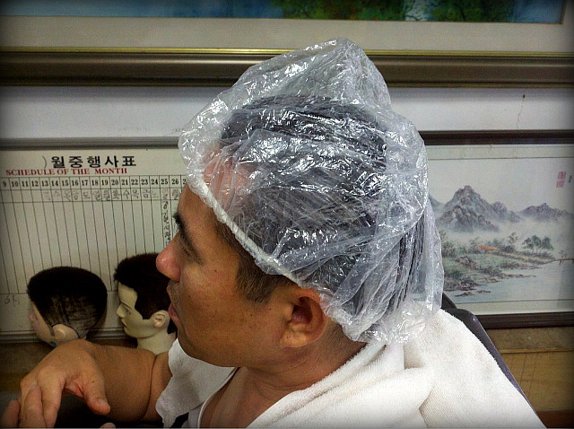 월드헤어 이미지