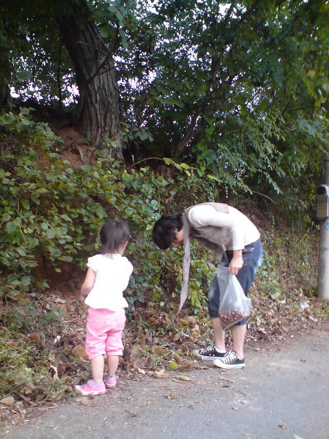 선유동 이미지