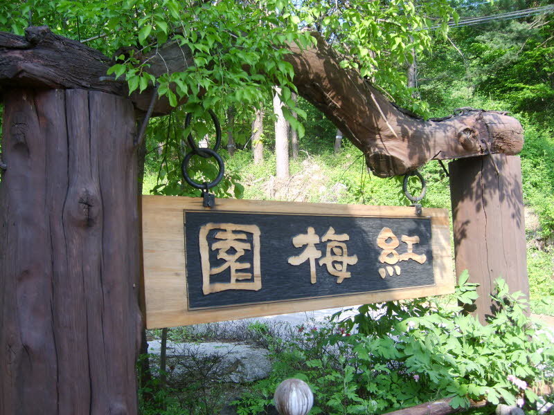 홍매원 이미지