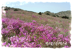 김*병 이미지