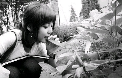 예음 이미지