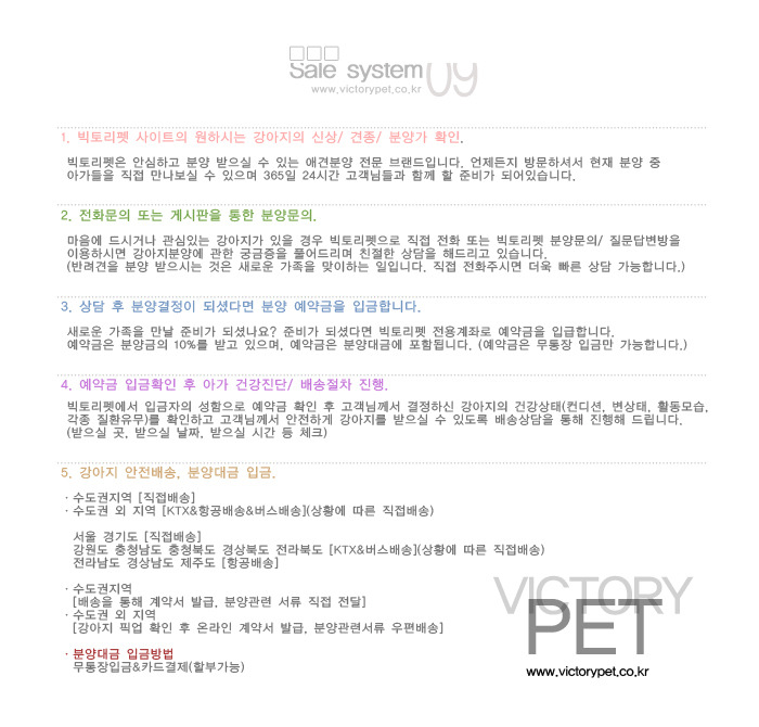 빅토리엔젤 이미지
