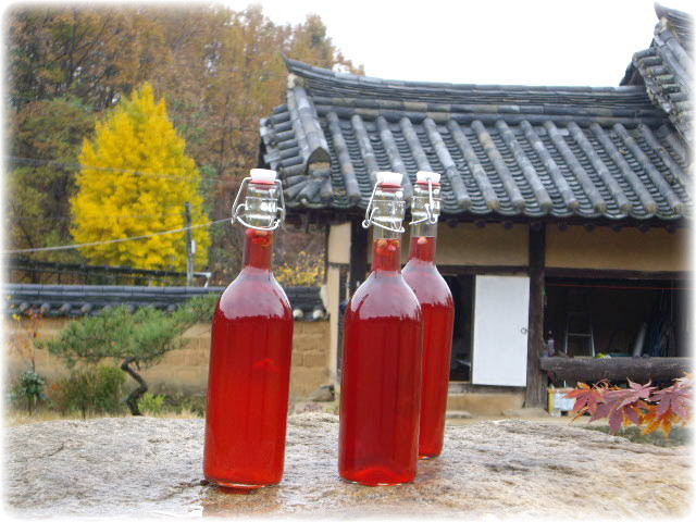 술÷삼÷ 이미지