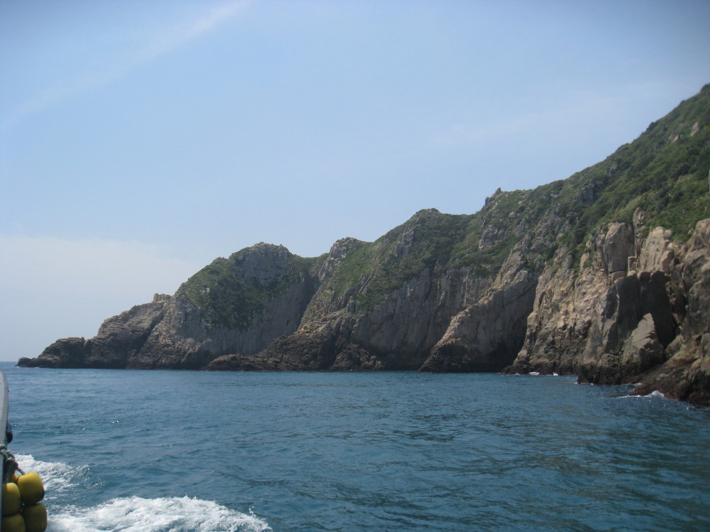 백도수중 이미지