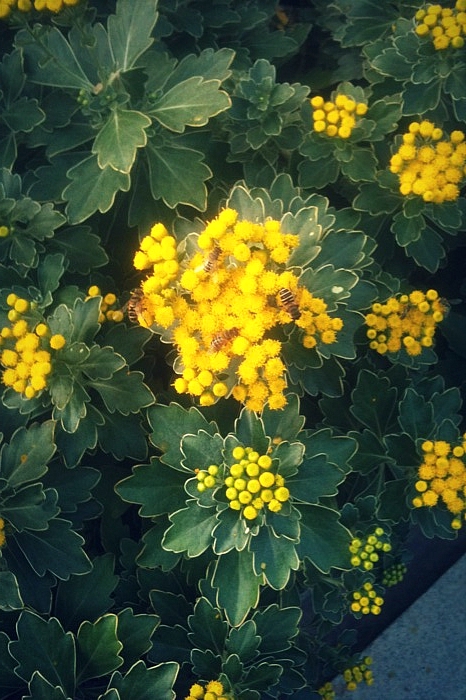 광릉수목원 나들이~