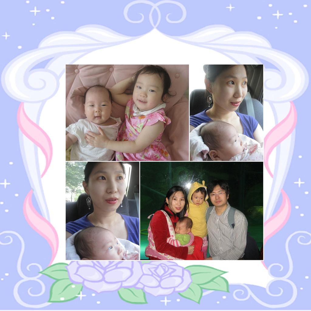 수지네 이미지