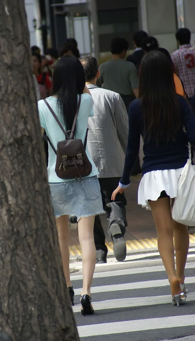 미시 이미지
