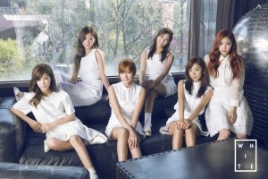 한 회사에 5년이상 머무른 아이돌들 | 인스티즈